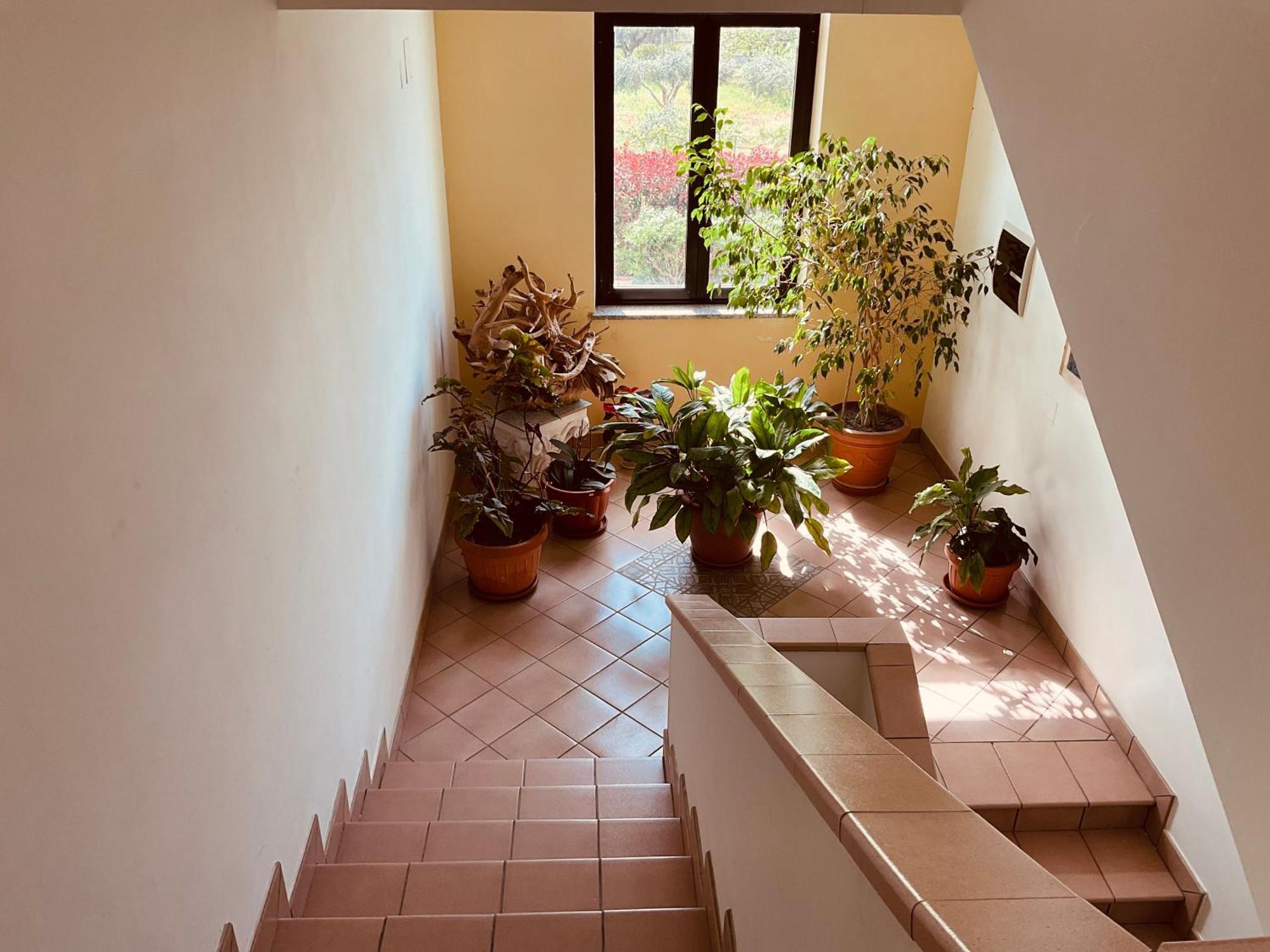 Casa Vacanza Demetra Fuscaldo Exterior foto